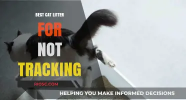 Top Non-Tracking Cat Litter Options to Keep Your Home Clean and Tidy