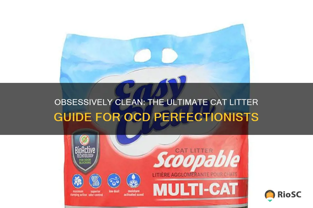 best cat litter for ocd person