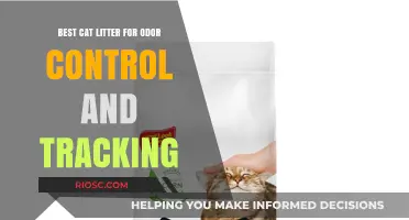 Top Cat Litter Picks for Superior Odor Control and Minimal Tracking