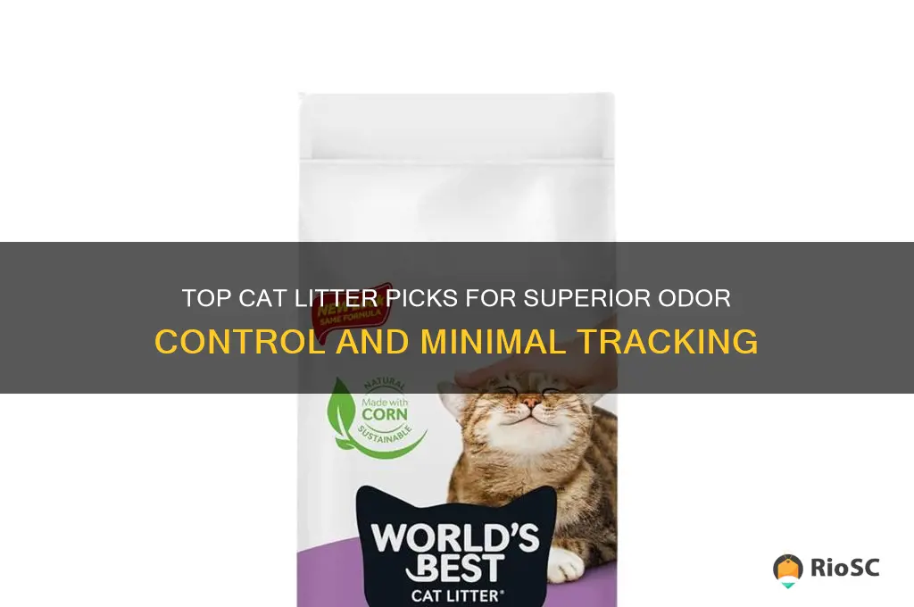 best cat litter for odor control and tracking