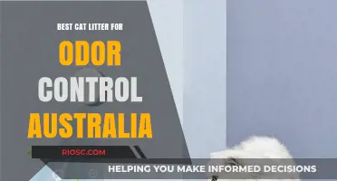 Top Odor-Fighting Cat Litter Options for Australian Pet Owners