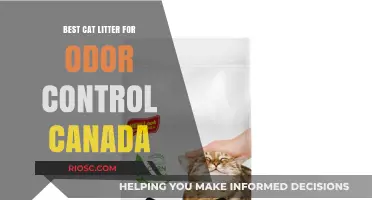 Top Odor-Control Cat Litter Options for Canadian Pet Owners