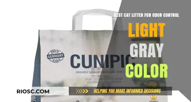 Light Gray Cat Litter for Superior Odor Control: Top Picks for a Fresh-Smelling Home