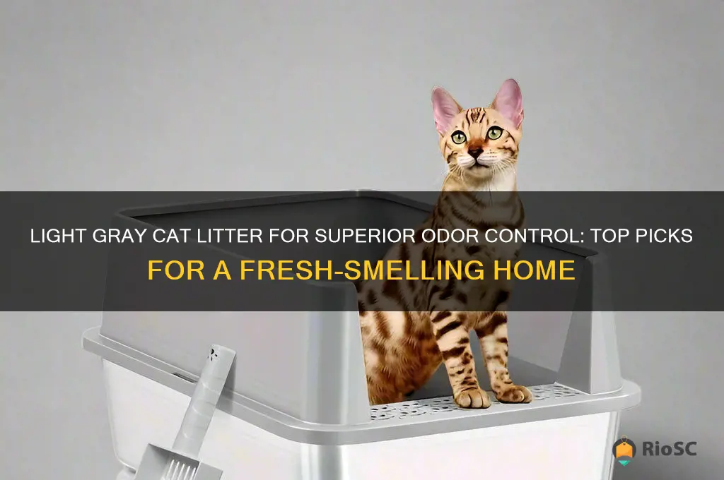 best cat litter for odor control light gray color