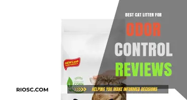 Top-Rated Cat Litter for Odor Control: Expert Reviews and Recommendations