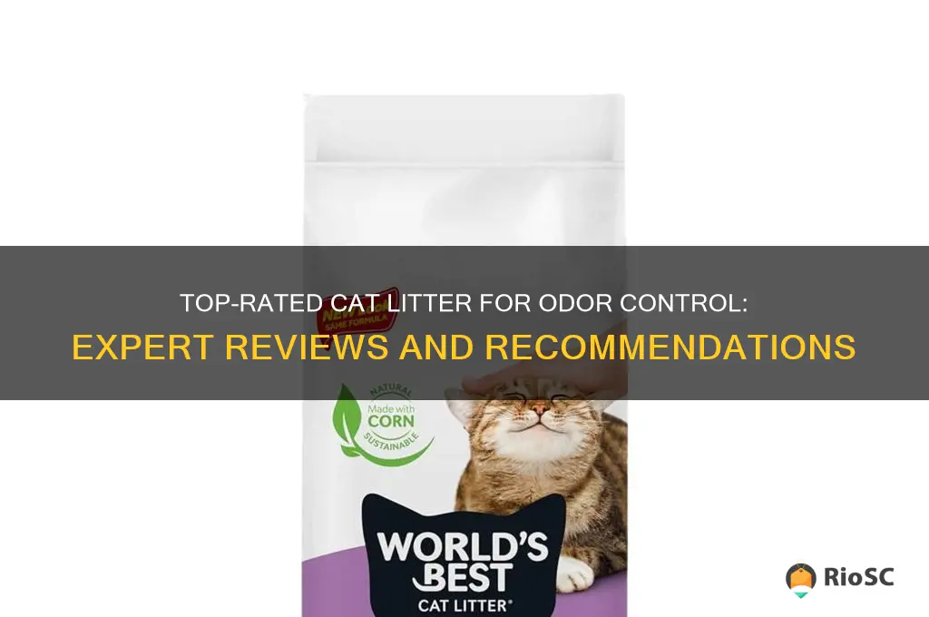 best cat litter for odor control reviews