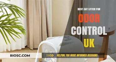 Top UK Cat Litter Picks for Superior Odor Control: Keep Your Home Fresh and Clean