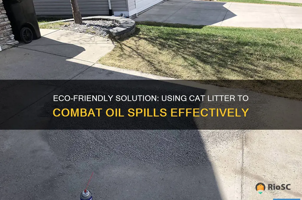 best cat litter for oil spills