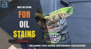 Effective Cat Litter Solutions for Removing Stubborn Oil Stains