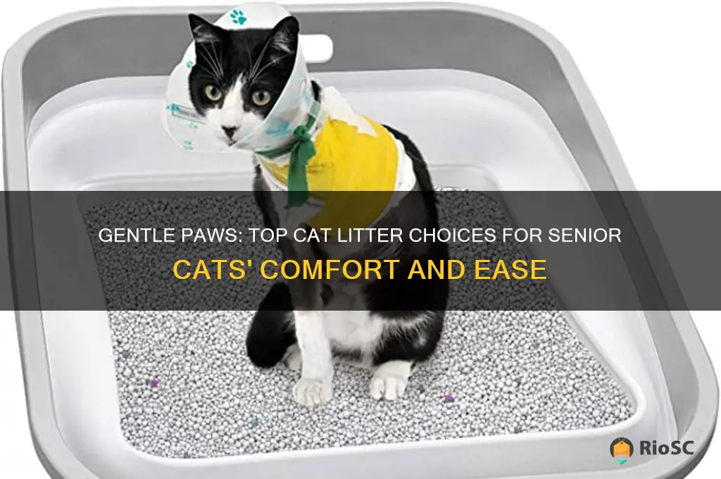 best cat litter for older cats