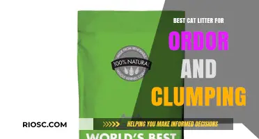 Top Odor-Control and Clumping Cat Litter Options for a Fresh and Clean Home
