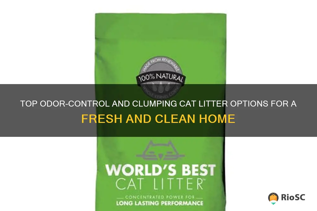 best cat litter for ordor and clumping