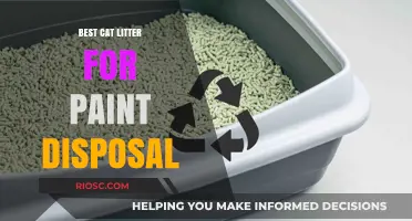 Eco-Friendly Cat Litter: A Safe and Effective Solution for Paint Disposal