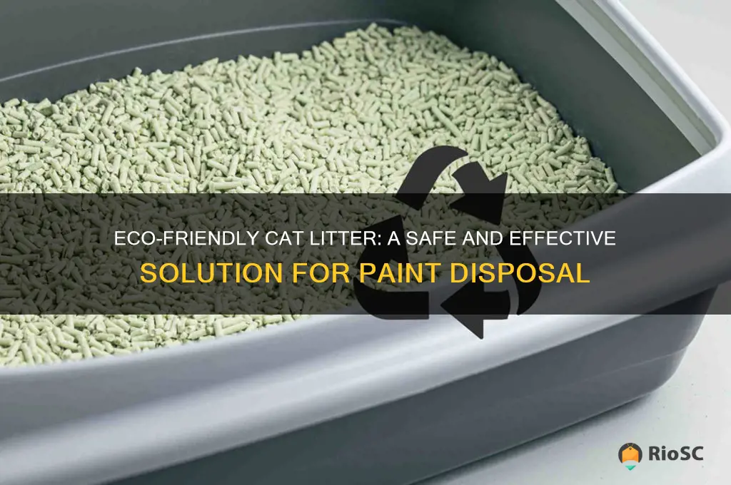 best cat litter for paint disposal