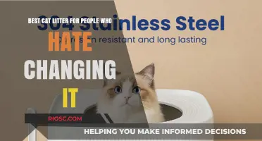 Revolutionary Cat Litter Solutions: Say Goodbye to Frequent Changes and Hello to Hassle-Free Maintenance