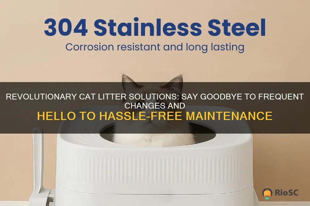 best cat litter for people who hate changing it