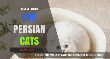 Top-Rated Cat Litter Options for Persian Cats: Keeping Your Feline Friend Happy and Healthy