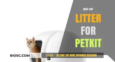 Top Petkit-Compatible Cat Litter Options for a Cleaner, Fresher Home