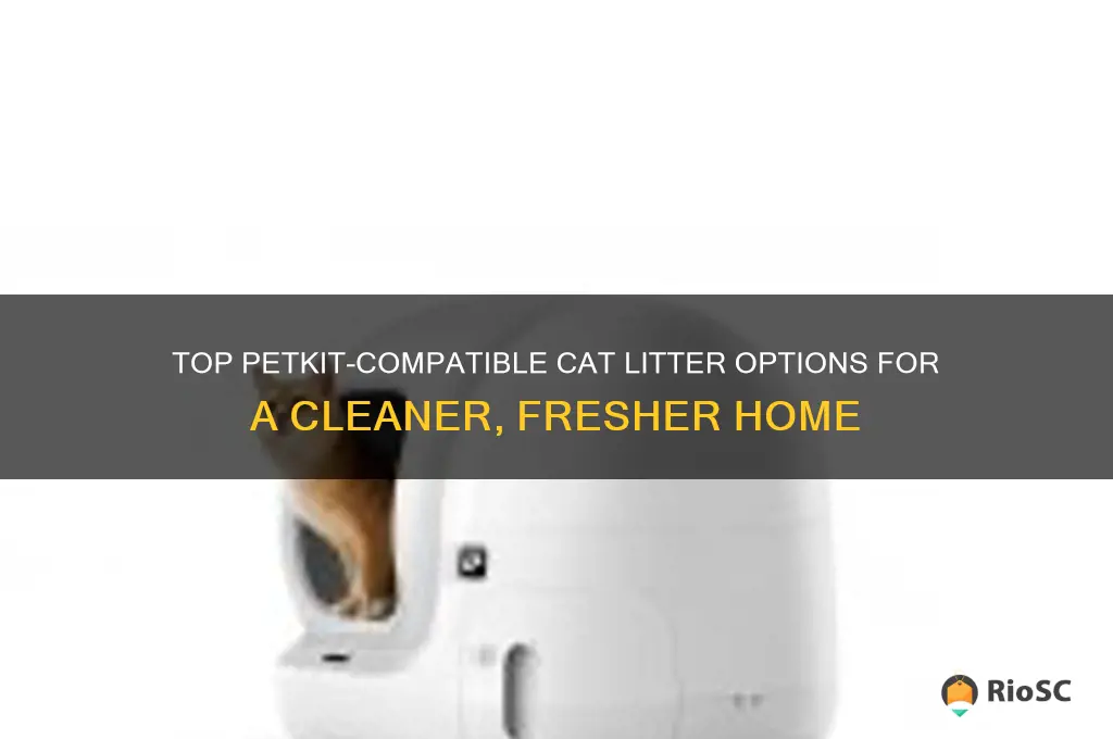 best cat litter for petkit