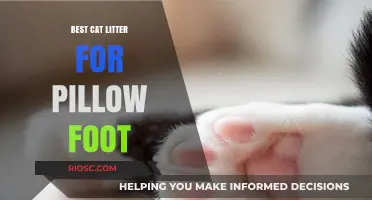 Pillow Foot Relief: Discover the Best Cat Litter for Sensitive Paws