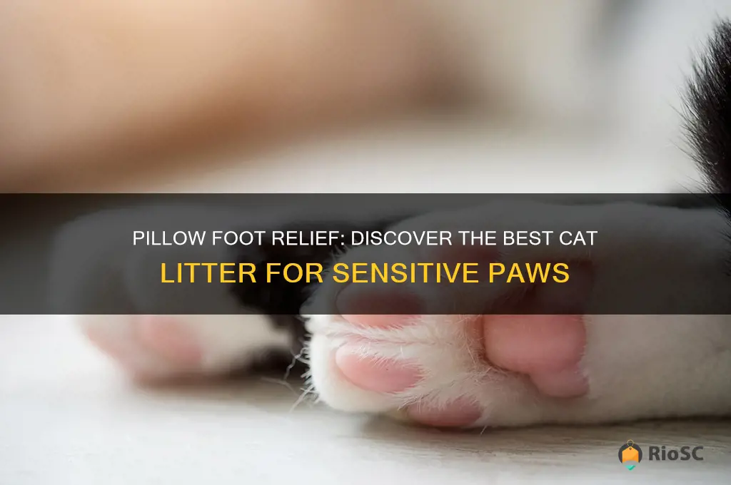best cat litter for pillow foot