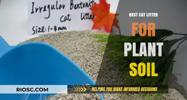 Eco-Friendly Cat Litter Options That Double as Nutrient-Rich Plant Soil