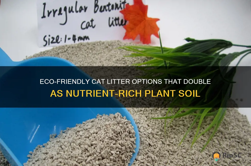 best cat litter for plant soil