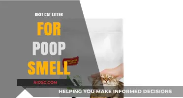 Eliminate Feline Odor: Top Cat Litter Picks to Combat Poop Smell