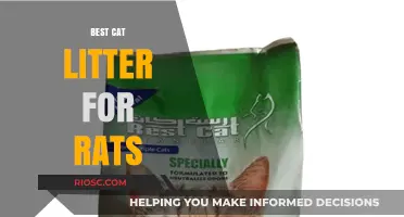 Top Cat Litter Alternatives for Rats: Safe and Comfortable Bedding Options