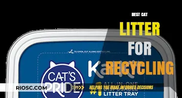 Eco-Friendly Feline Solutions: Top Recyclable Cat Litter Options for a Greener Home