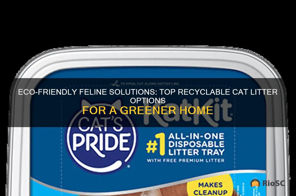 best cat litter for recycling