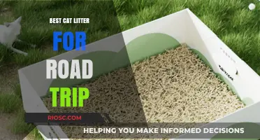 Purr-fect Travel Companion: Top Cat Litter Choices for Stress-Free Road Trips