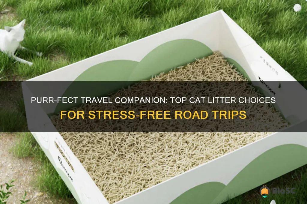 best cat litter for road trip
