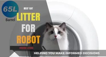 Top Robot-Friendly Cat Litter Options for Hassle-Free Cleaning
