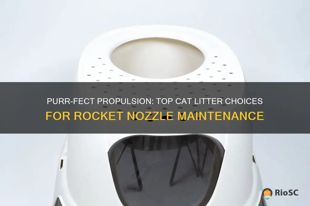 best cat litter for rocket nozzles