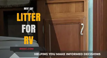 Top RV-Friendly Cat Litter Options for Odor Control and Easy Cleanup