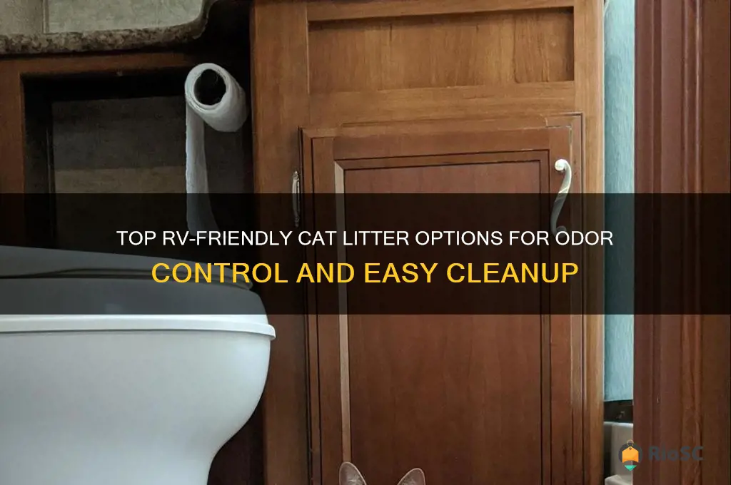 best cat litter for rv