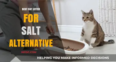 Eco-Friendly Alternatives to Salt-Based Cat Litter: Top Picks for a Safer, Greener Home
