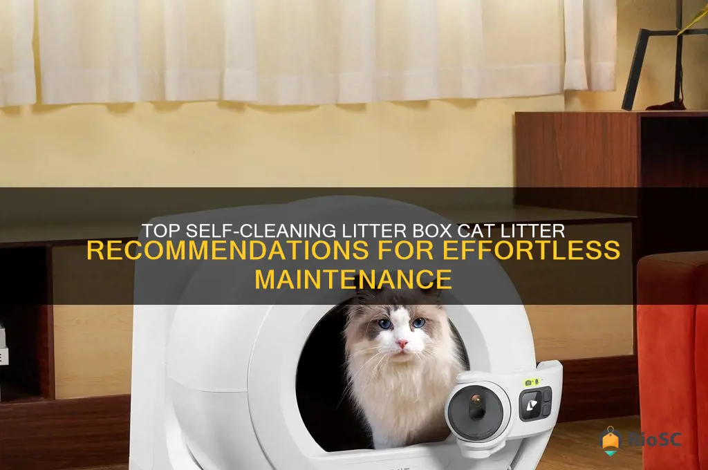 best cat litter for self cleaning litter box