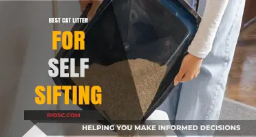 Revolutionize Your Cat Care: Top Self-Sifting Cat Litter Options for Effortless Maintenance