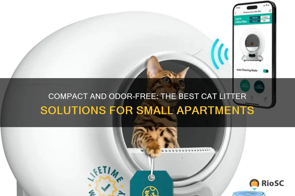 best cat litter for small apartment
