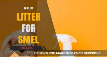 Top Odor-Fighting Cat Litter Options to Keep Your Home Fresh