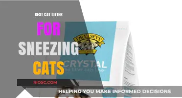 Purr-fect Relief: Top Cat Litter Choices to Reduce Sneezing in Sensitive Felines