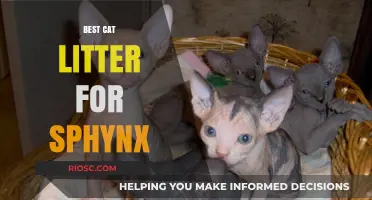 Top Cat Litter Picks for Sphynx Cats: Keeping Your Hairless Feline Happy and Healthy