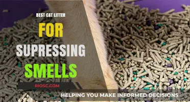 Odor-Free Living: Top Cat Litter Picks for Maximum Smell Suppression