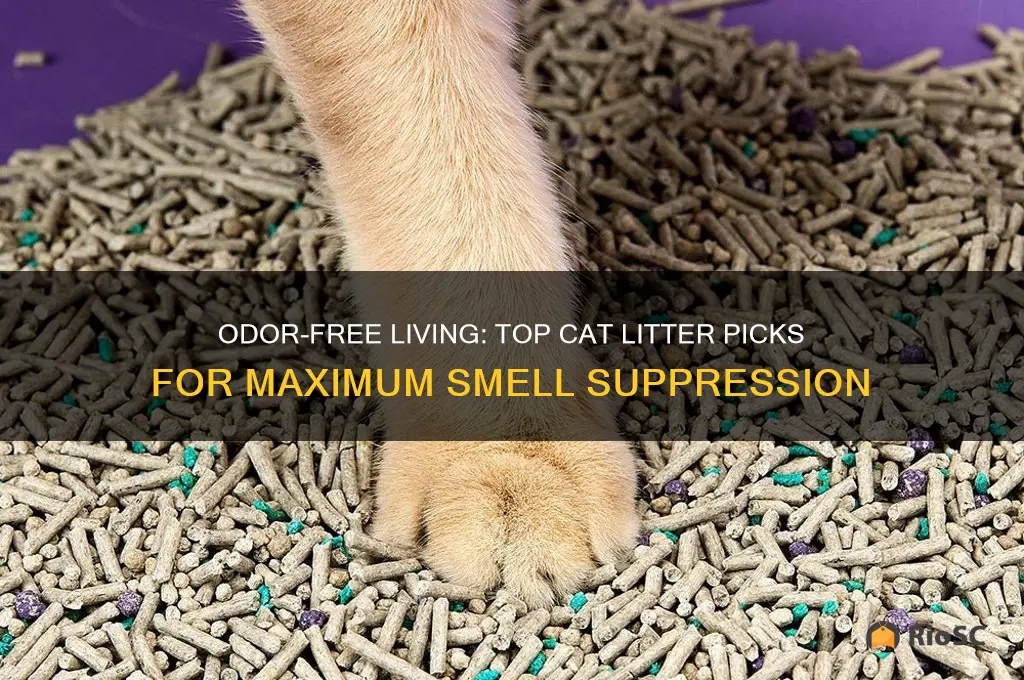best cat litter for supressing smells