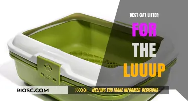 Top Cat Litter Picks for the Luuup Litter Box: Maximize Efficiency and Odor Control