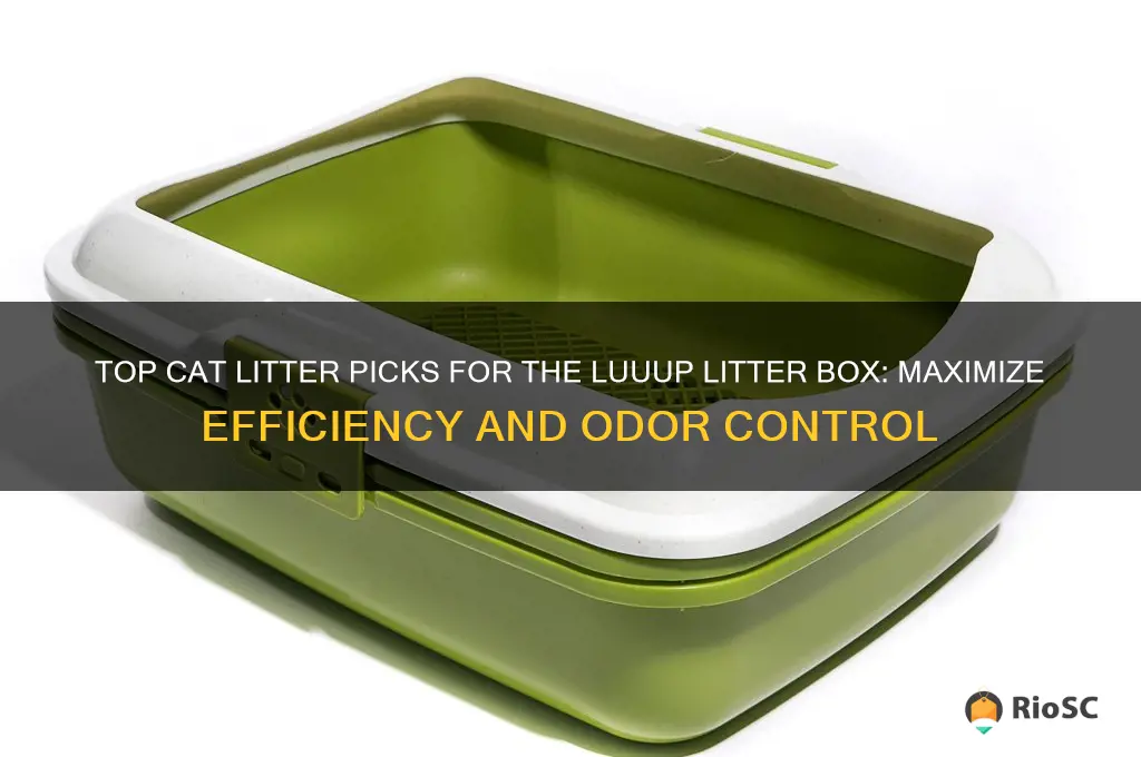 best cat litter for the luuup