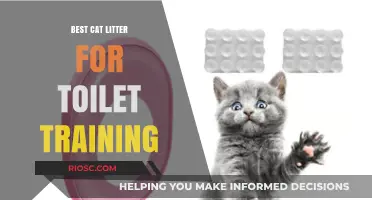 Purr-fectly Clean: Top Cat Litter Choices for Successful Toilet Training