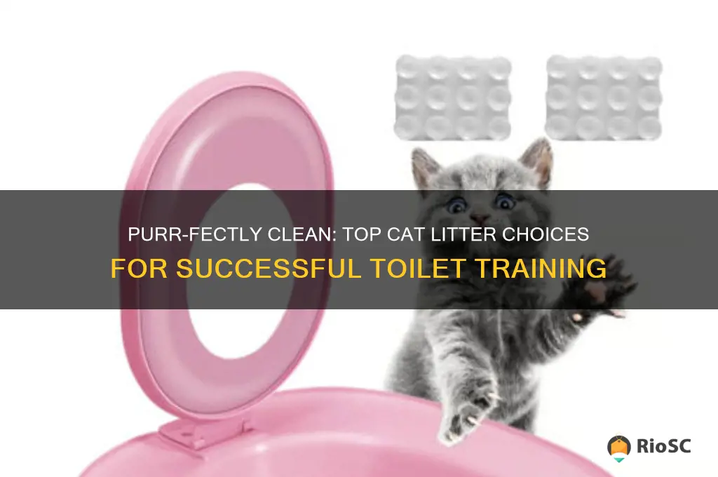 best cat litter for toilet training
